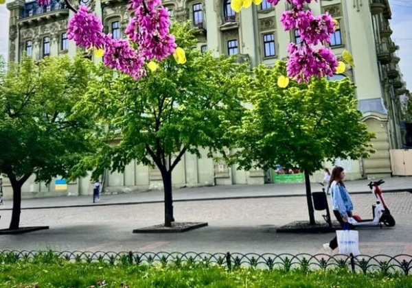 Концерты "Без Обмежень" и Dakh Daughters: куда пойти в Одессе на следующей неделе