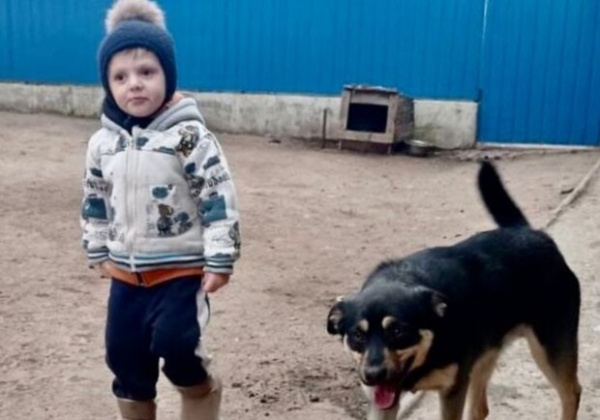 Ушел из дома вчера вместе с собакой: в Одесской области продолжаются поиски двухлетнего мальчика