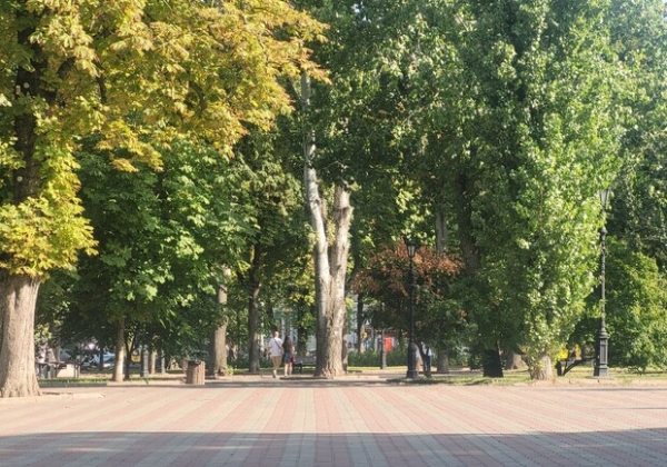 Иллюзион-шоу и спектакль "Путь в Вифлеем": куда пойти в Одессе в эти выходные