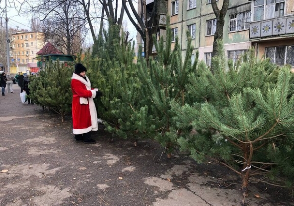 Праздник приближается: где в Одессе есть елочные базары Праздник приближается: где в Одессе есть елочные базары