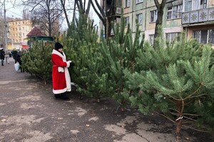 Праздник приближается: где в Одессе есть елочные базары Праздник приближается: где в Одессе есть елочные базары