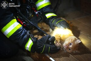 В центре Одессы горела квартира: спасли женщину и кота
