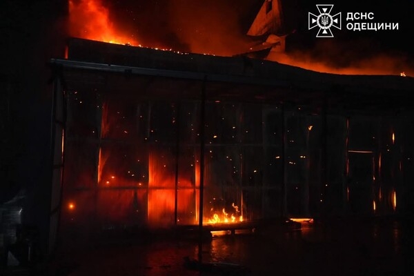 Пожары и пострадавшие в пригороде Одессы: последствия вечерней атаки БпЛА (обновлено)