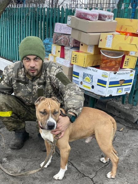Вижити в норі легше з матрацом, подушкою і бутербродом з салом: як волонтерка з Лубен досі закриває базові потреби фронту